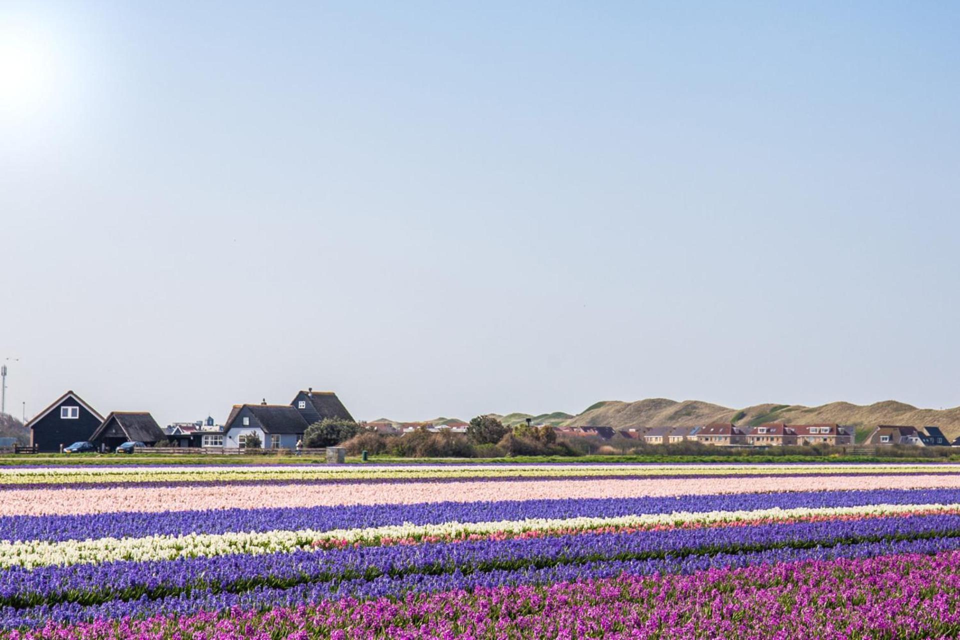 Vakantiehuis Zilt - Julianadorp Aan Zee Екстериор снимка